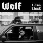 2013 : Wolf
feis
album
topnotch : tn1320cd