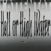1989 : Hell or high water
allard jolles
album
top hole : th 75