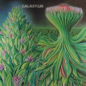 1974 : Galaxy Lin
rudy bennett
album
polydor : 2925 025