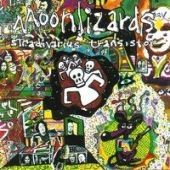 1993 : Stradivarius transistor
adam wachters
album
top hole : 994 022 2