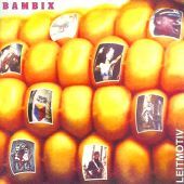 1998 : Leitmotiv
bambix
album
vitaminepillen : vp 042