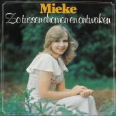 1976 : Tussen dromen en ontwaken
pierre kartner
album
elf provincien : elf 15.95-g