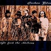 1998 : Go feed the chickens
cochon bleu
album
big deal : 