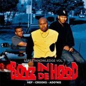 2008 : Boyz in de hood vol. 1
crooks
album
streetknowledge : skmumix05