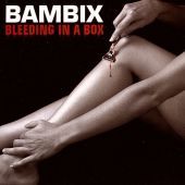 2008 : Bleeding in a box
bambix
album
go-kart : 
