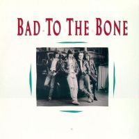1988 : Bad To The Bone
gerben ibelings
album
megadisc : mdc 7898