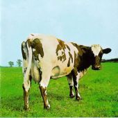 1970 : Atom heart mother
david gilmour
album
harvest : 7463812