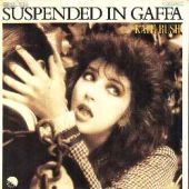 ???? : Suspended in Gaffa
kate bush
single
emi : 