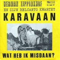 1971 : Karavaan
herman lippinkhof
single
telstar : ts 1662 tf