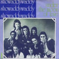 1976 : Under the moon of love
showaddywaddy
single
arista : ng 790