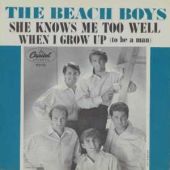 1964 : When I grow up (to be a man)
beach boys
single
capitol : cl 15361