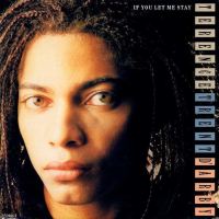 1987 : If you let me stay
terence trent d'arby
single
cbs : 650406 7