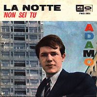 1965 : La notte
adamo
single
la voce del pad : 7mq 1971