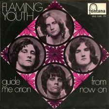 Flaming Youth