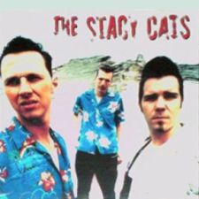 Stacy Cats