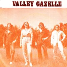 Valley Gazelle