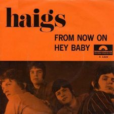 Haigs