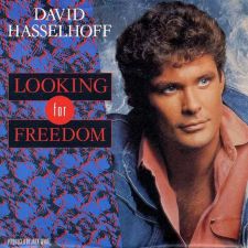 David Hasselhoff